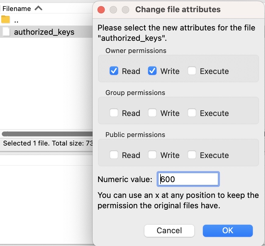 File Permissions (Filezilla)