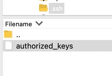 authorized_keys list