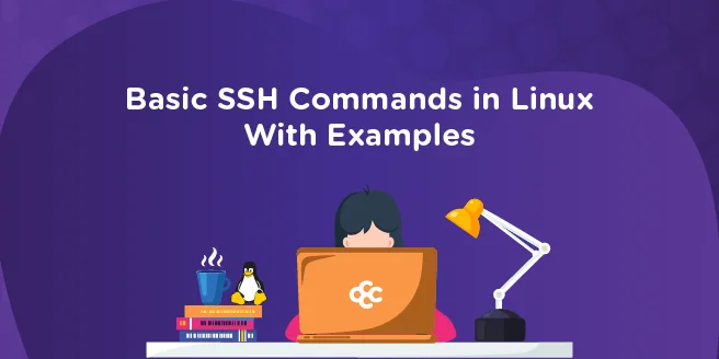 Basic SSH Commands