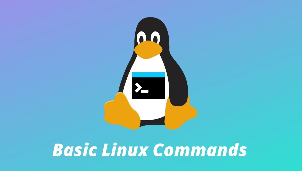 Basic Linux Commands - Mylinux.work